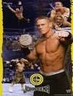 ˤ(WWE)Ѹ