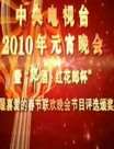 ̨2010ԪѸ
