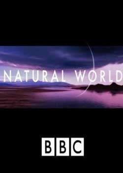 BBCȻ.ϹѸ