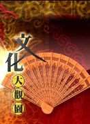 文化大观园2013迅雷下载