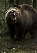 Ѹ