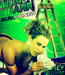 Money in the Bank 2015Ѹ