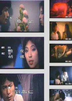 鹦