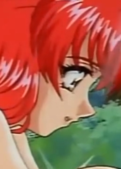 ˵ 22 FѸ