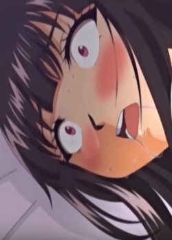 (`ƥ)Ĥդޤ The Animation Ѹ