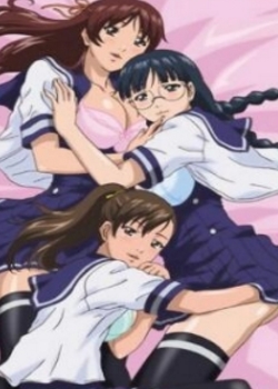 爱的选择 Love Selection迅雷下载