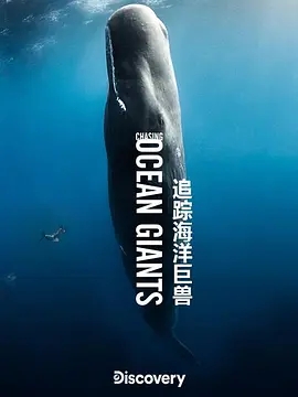 追踪海洋巨兽迅雷下载