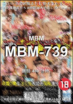 MBM-739