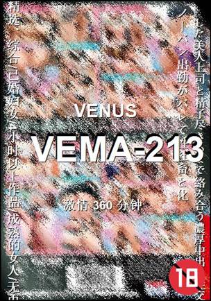 VEMA-213