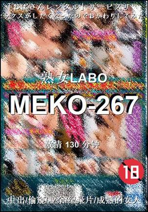 MEKO-267