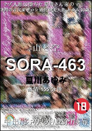 SORA-463