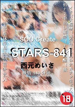STARS-841