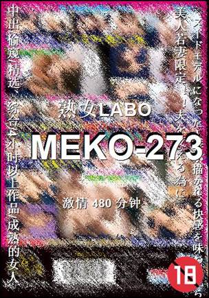MEKO-273