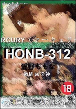 HONB-312