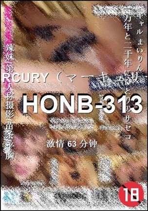HONB-313