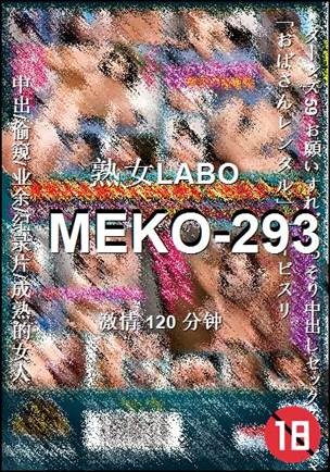 MEKO-293