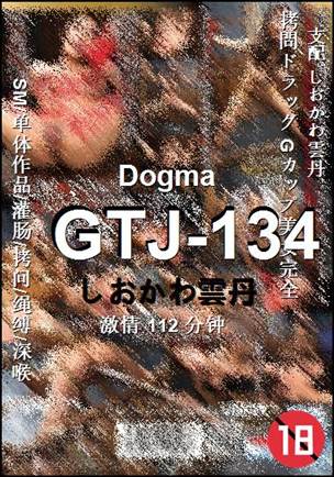 GTJ-134