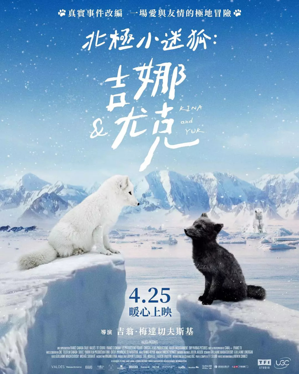 北极小迷狐吉娜,尤克迅雷下载