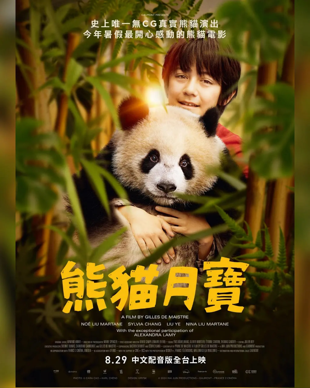 ��è����Ѹ������