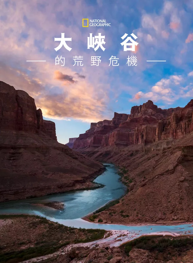 大峡谷的荒野危机迅雷下载