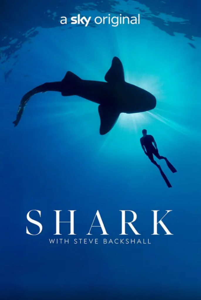 与鲨共舞第一季迅雷下载