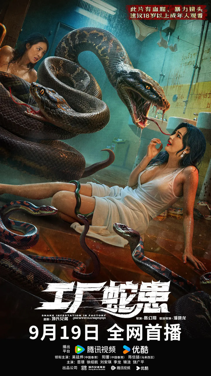 �����߻�