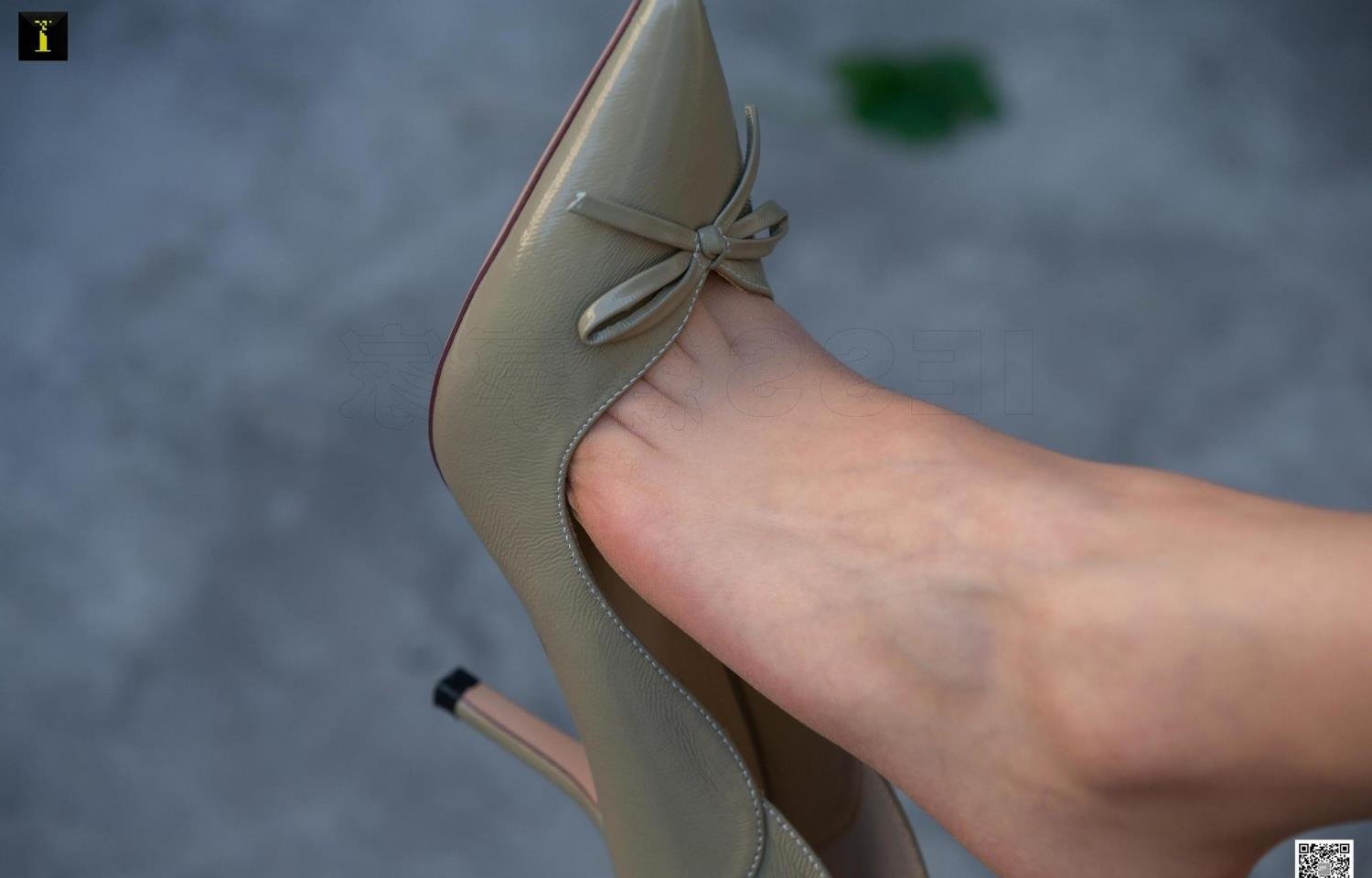 ��ڰ��ϴ��365��2���߲���Ѹ������