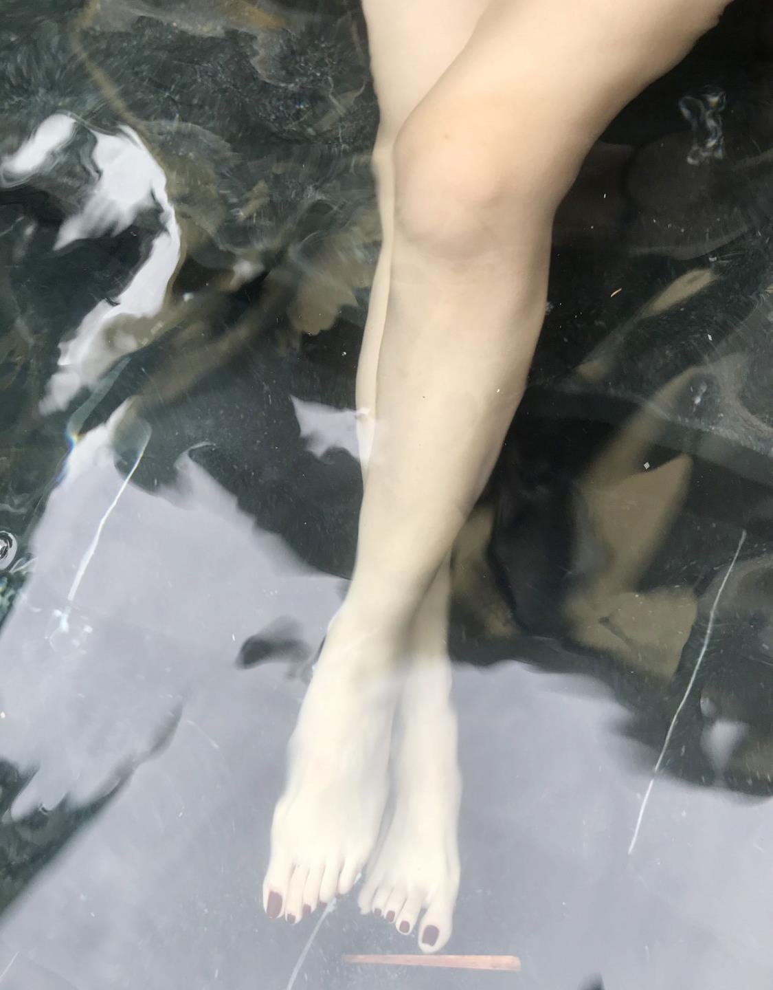 �������ĿԤ��