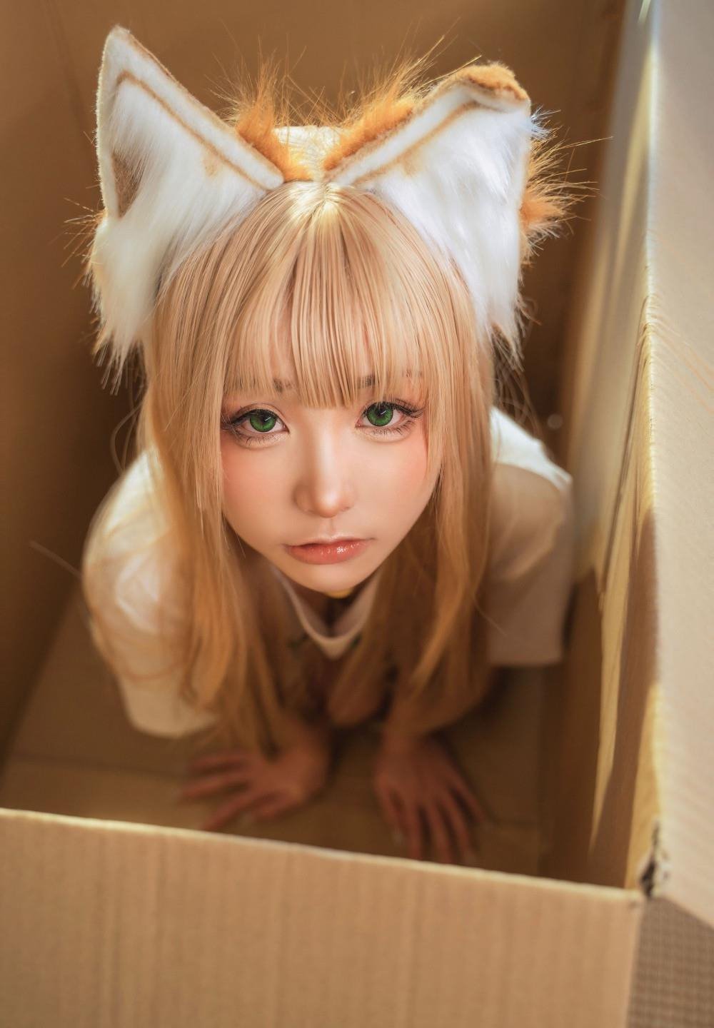 �������ٷ���վѸ������