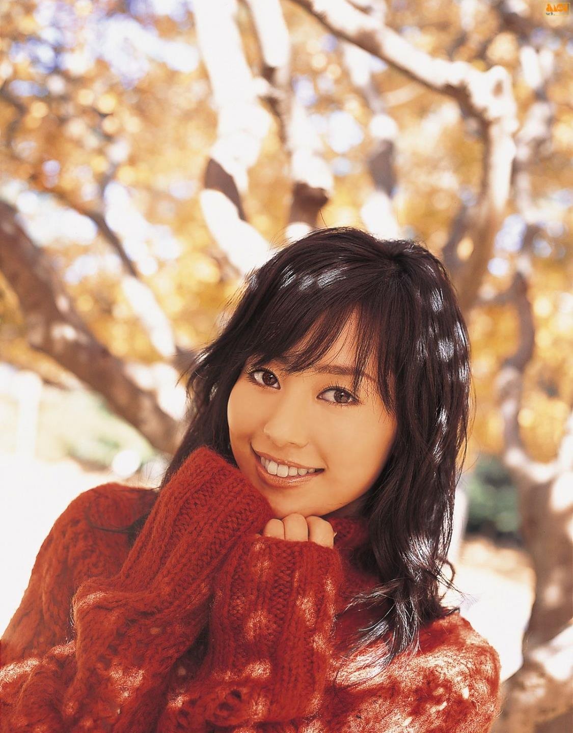 �����ڰ칫���������Ѹ������